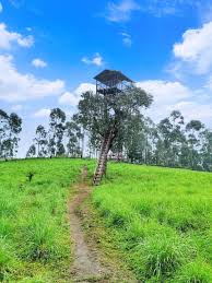Anamudi peak trek from Kanthaloor resort